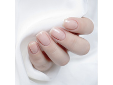 290-26	����-��� ��������, 6,5 ��