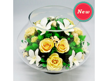 ���������� �� ��� � ������� (���. LLMc-N) - 3413 ���+%.jpeg