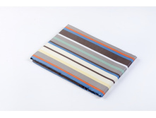 Hollan �������� ����� ������.JPG