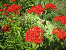 ���� 021.jpg