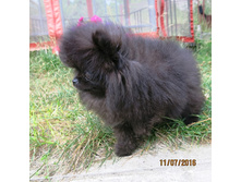 ������� 007.JPG