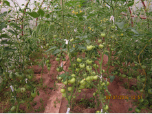 �������� 016.jpg