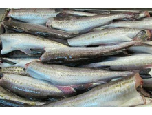 ������ ������� . 30-35 (������)