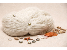 ��� ��������+ ��� �������