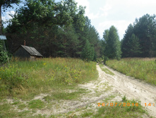 260.JPG