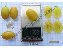 �������� ���� 160���..jpg