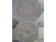 IMG 20160316 191551.jpg