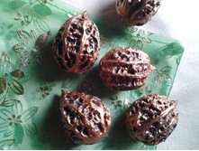 ������������� ����� (���������� �����)