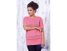 4293 �������