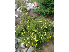 ������������� ��������.