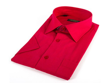 RAF1205s HG-������� �����������--580�.jpg