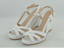 ��������� ���� ����� - 1120���.