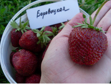 ���������� 2