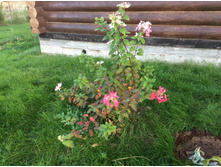 ������� ���