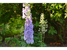 �������. �����������