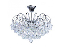 232017506 9500�.jpg