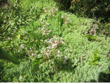 ���� 022.jpg