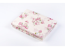 Avion ������������.JPG