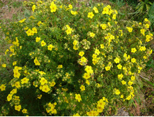 �������� ������������� ������� 2-����� 150���..jpg