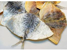 ������������� ���������