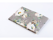 Hollan ������������.JPG