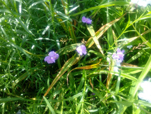 ������������