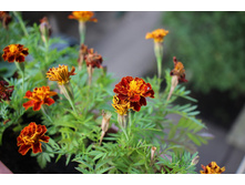 ���� ����.jpg