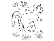 88493138 cats coloring pages 301.gif