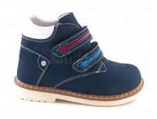 ����������� 2295 ���