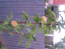 ������ "�������� ������"