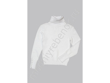 ���. 2357 DLSI.jpg