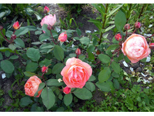 20160702 181958.jpg