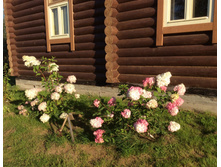 ������ � �������.