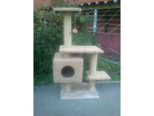 �� 2245 ���. �������� �����