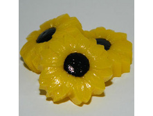 MA ����� ���������