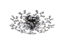 280011008 8000�.jpg