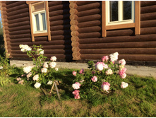 ������ � �������.