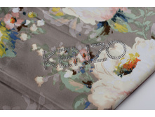 Hollan ��������� �����.JPG