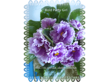 Bold Party Girl