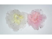 ������ 5 ----- 145 ���