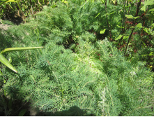 ���� 029.jpg