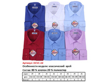 ������� ������� ��. �����, DINO   DCVC-2D  - 250 ���