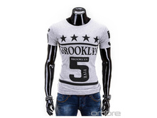T-shirt-s557-szary 002 XL XXL.jpg