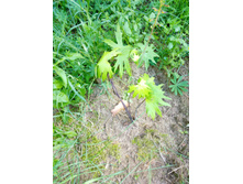 ��������� �������������