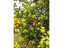 IMG 20160731 143644.jpg