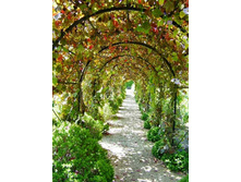 �������� ������� 160���..jpg