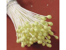 ������� ��� ������� �� ������� "������"