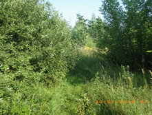 19.JPG