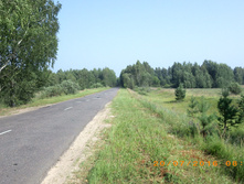 49.JPG