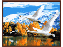 GL5464 � ������ ����.jpg